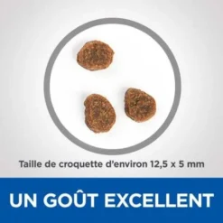 Vet Essentials Canine Adult Medium No Grain Thon & Pommes De Terre -Materiel Soldes vetessentials canine adult medium no grain thon pommes de terre 2