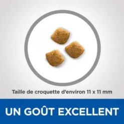 Vet Essentials Feline Young Adult Dental Health -Materiel Soldes vetessentials feline young adult dental health 3