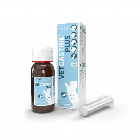 Vetgastril 2 Vetgastril – Image 2