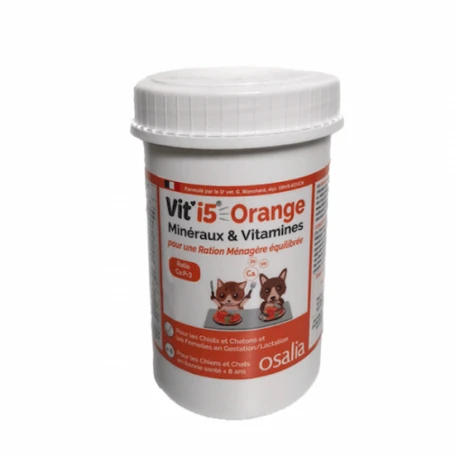 Vit'I5 Orange Poudre 1 Vit'I5 Orange Poudre