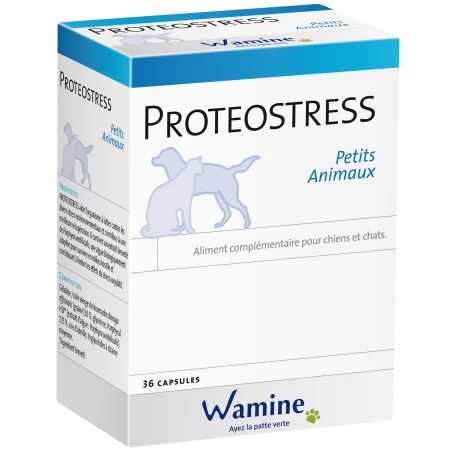 Wamine Proteostress PA 1 Wamine Proteostress PA